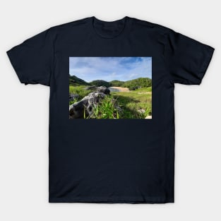 Hidden paradise lake lagoon sand beach T-Shirt